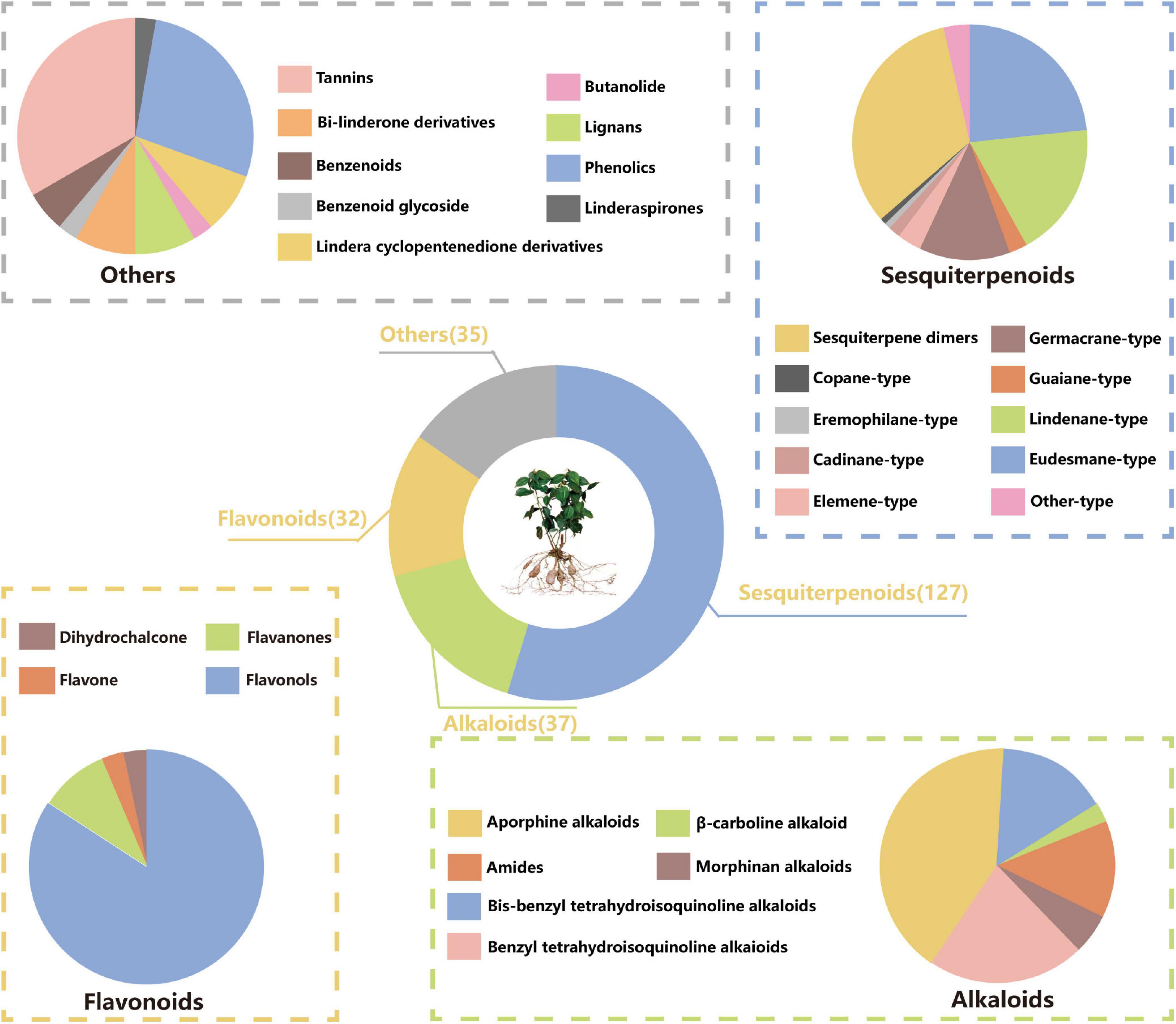 A review on the chemical constituents and pharmacological efficacies of Lindera aggregata (Sims) Kosterm